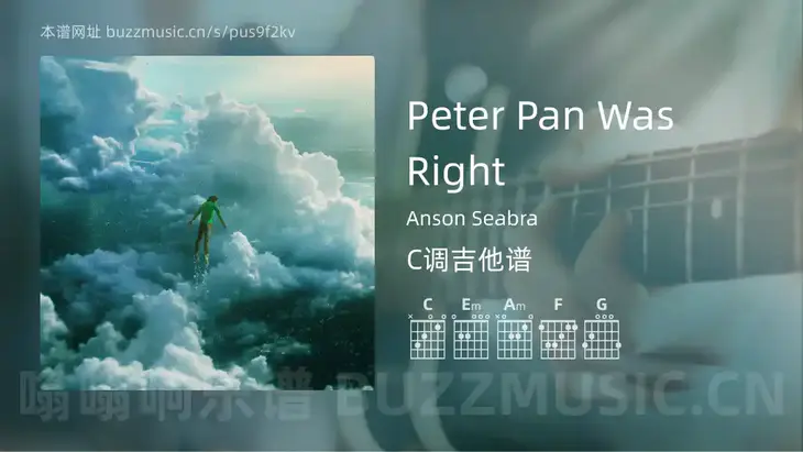 Peter Pan Was Right吉他谱C调 Anson Seabra 简单版
