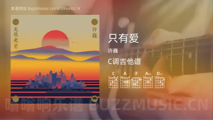 只有爱 许巍 吉他谱C调简单版