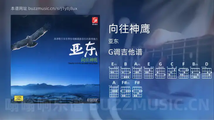 向往神鹰 亚东 吉他谱G调简单版