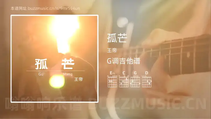 孤芒 王帝 吉他谱G调简单版