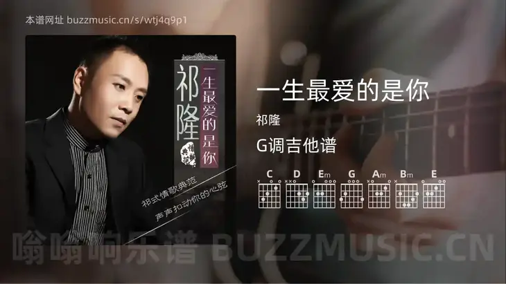 一生最爱的是你 祁隆 吉他谱G调简单版