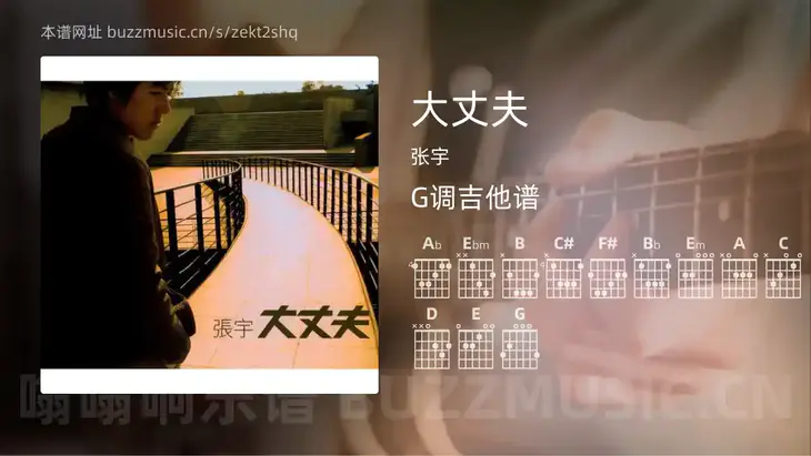 大丈夫吉他谱G调 张宇 简单版