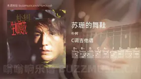 苏珊的舞鞋吉他谱C调 朴树 简单版