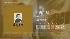 不再年轻吉他谱G调 贰佰 简单版