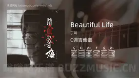Beautiful Life吉他谱C调 丁可 简单版