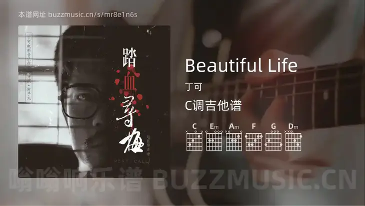 Beautiful Life吉他谱C调 丁可 简单版