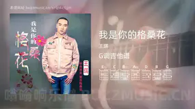 我是你的格桑花 王琪 吉他谱G调简单版