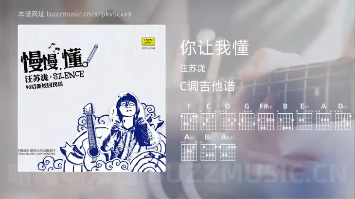 你让我懂 汪苏泷 吉他谱C调简单版