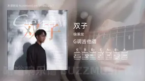 双子 徐秉龙 吉他谱G调简单版