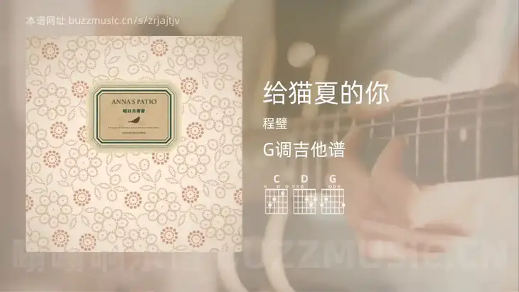 给猫夏的你 程璧 吉他谱G调简单版
