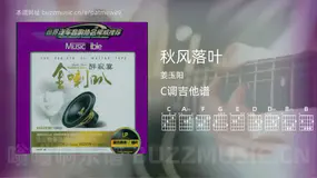 秋风落叶吉他谱C调 姜玉阳 简单版