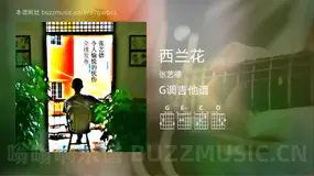 西兰花 张艺德 吉他谱G调简单版