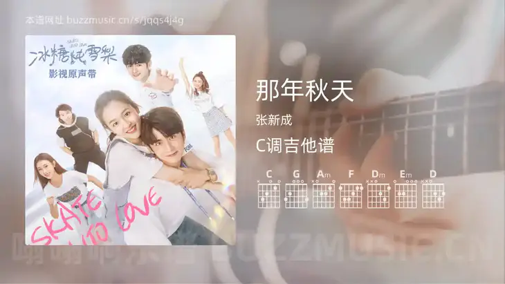 那年秋天 张新成 吉他谱C调简单版