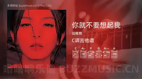 你就不要想起我 田馥甄 吉他谱C调简单版