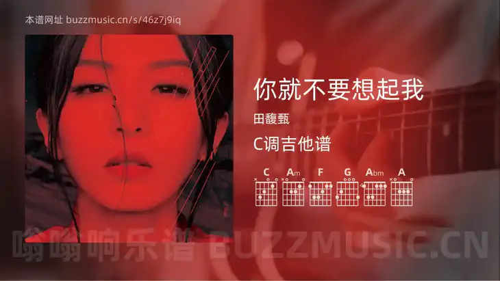 你就不要想起我 田馥甄 吉他谱C调简单版