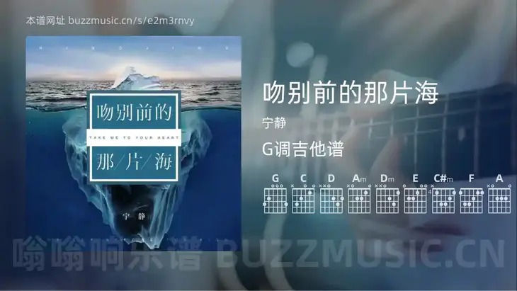 吻别前的那片海吉他谱G调 宁静 简单版