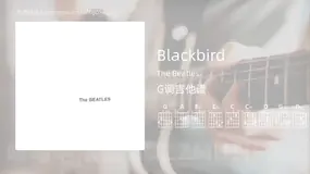 Blackbird The Beatles 吉他谱G调简单版