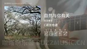 自然与你有关 纣王老胡 吉他谱C调简单版