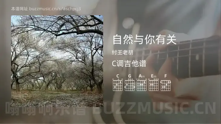 自然与你有关 纣王老胡 吉他谱C调简单版