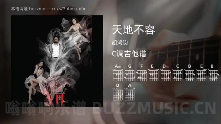 天地不容吉他谱C调 胡鸿钧 简单版