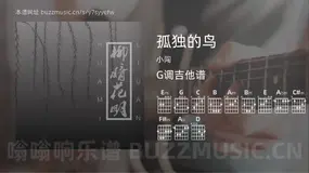 孤独的鸟 小闯 吉他谱G调简单版