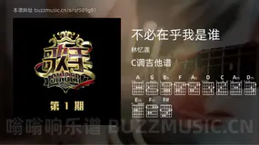 不必在乎我是谁 林忆莲 吉他谱C调简单版