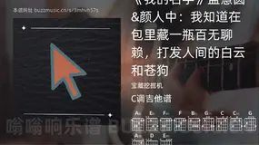 《我的名字》孟慧圆&颜人中:我知道在包里藏一瓶百无聊赖,打发人间的白云和苍狗 宝藏挖掘机 吉他谱C调简单版
