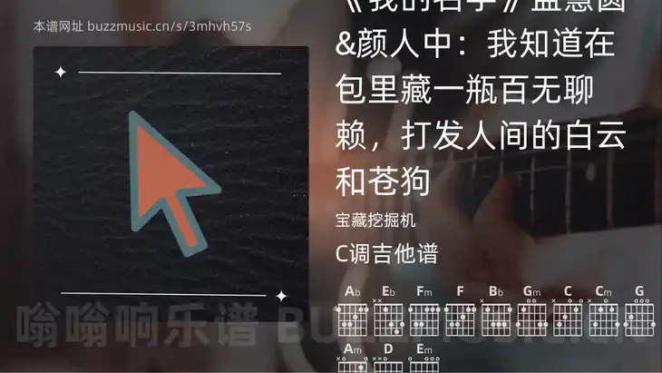 《我的名字》孟慧圆&颜人中:我知道在包里藏一瓶百无聊赖,打发人间的白云和苍狗 宝藏挖掘机 吉他谱C调简单版
