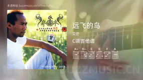 远飞的鸟吉他谱C调 艾芒 简单版