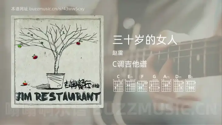 三十岁的女人 赵雷 吉他谱C调简单版