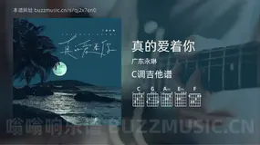 真的爱着你吉他谱C调 广东永琳 简单版