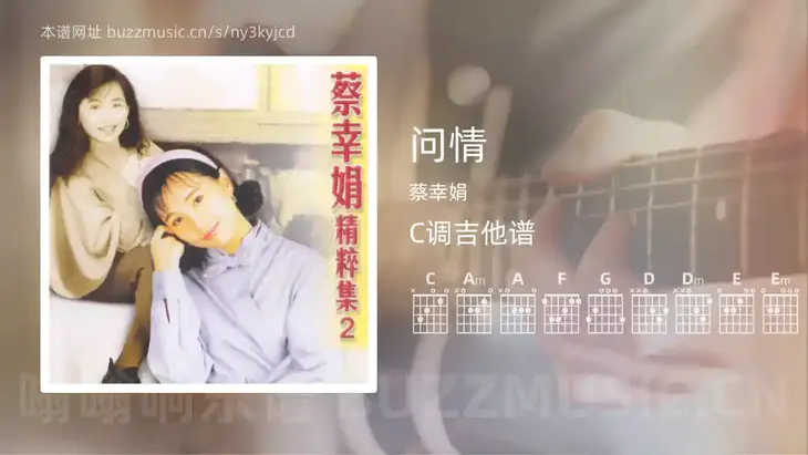 问情 蔡幸娟 吉他谱C调简单版