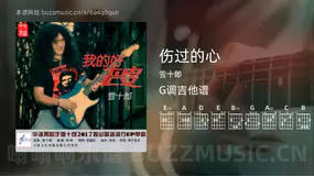 伤过的心 雪十郎 吉他谱G调简单版