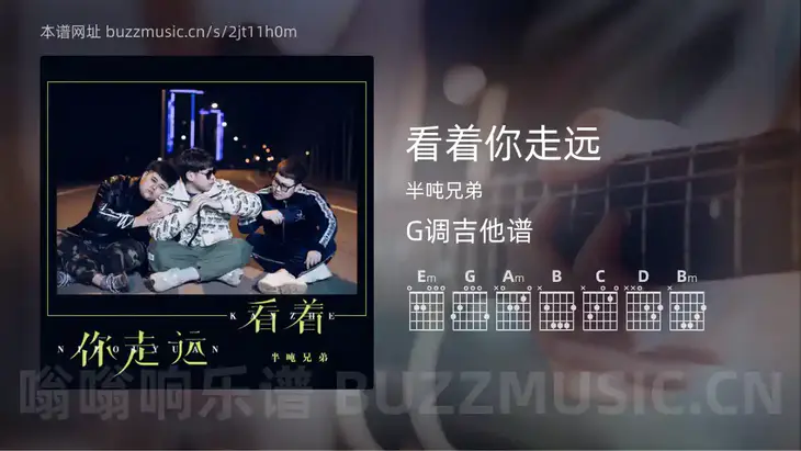 看着你走远 半吨兄弟 吉他谱G调简单版