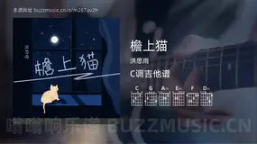 檐上猫 洪思雨 吉他谱C调简单版