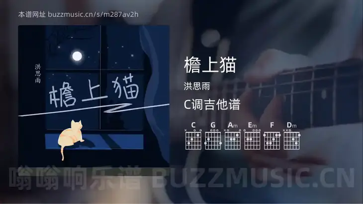 檐上猫 洪思雨 吉他谱C调简单版