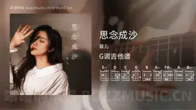 思念成沙 菲儿 吉他谱G调简单版