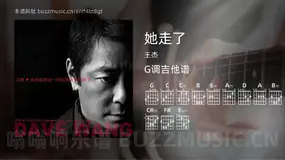 她走了 王杰 吉他谱G调简单版