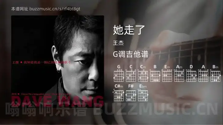 她走了 王杰 吉他谱G调简单版