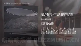 孤独是生命的礼物 什么都浪漫 吉他谱C调简单版