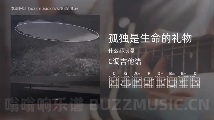 孤独是生命的礼物 什么都浪漫 吉他谱C调简单版