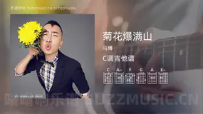 菊花爆满山 马博 吉他谱C调简单版