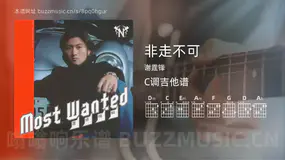 非走不可 谢霆锋 吉他谱C调简单版