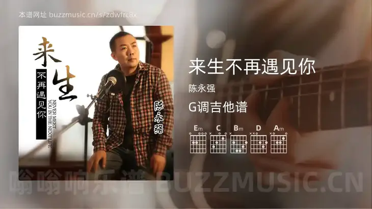 来生不再遇见你 陈永强 吉他谱G调简单版
