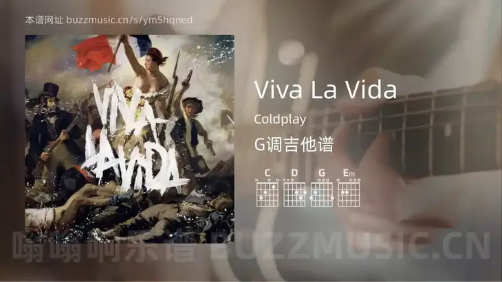 Viva La Vida吉他谱G调 Coldplay 简单版