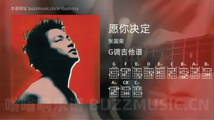 愿你决定 张国荣 吉他谱G调简单版