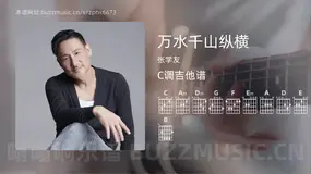 万水千山纵横 张学友 吉他谱C调简单版