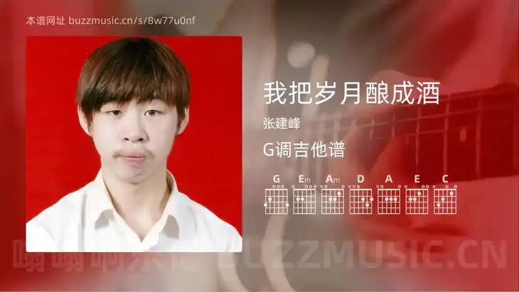 我把岁月酿成酒 张建峰 吉他谱G调简单版