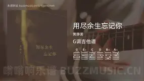 用尽余生忘记你 黄静美 吉他谱G调简单版