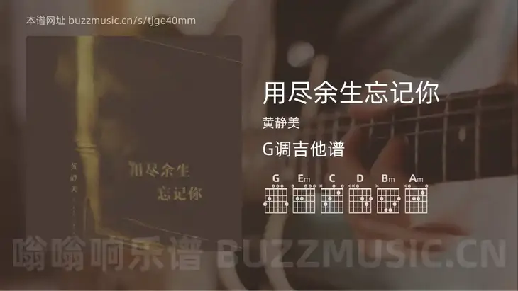用尽余生忘记你 黄静美 吉他谱G调简单版